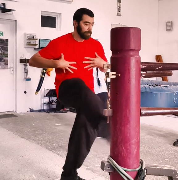 Wing Chun Video in Labastide Saint-Pierre - Wing Chun Kung Fu Practice