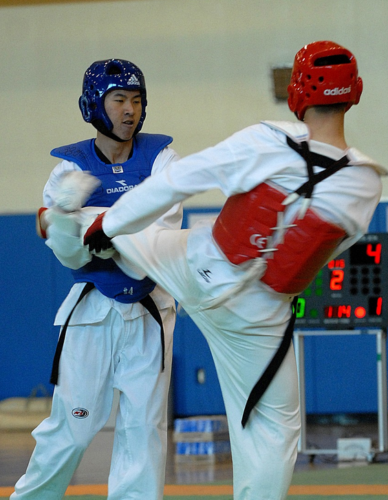 Wing Chun vs Taekwondo