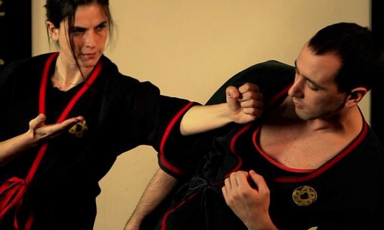 wing chun vs wing tsun