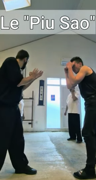 wing chun combat