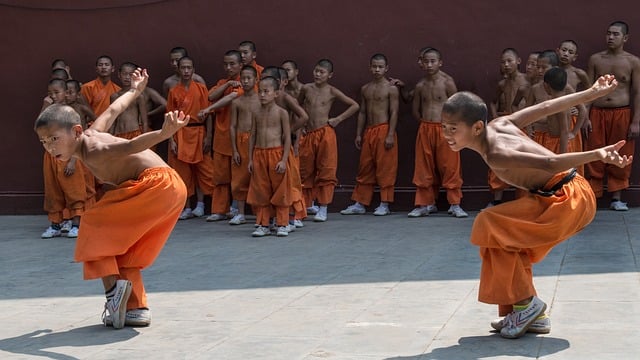 Kung Fu Shaolin vs Wing Chun