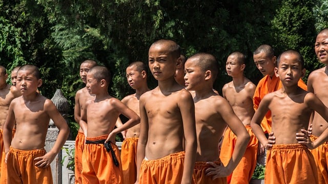 Kung Fu Shaolin vs Wing Chun