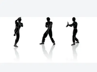 wing chun kung fu