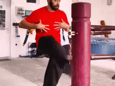 mannequin de bois wing chun pas cher