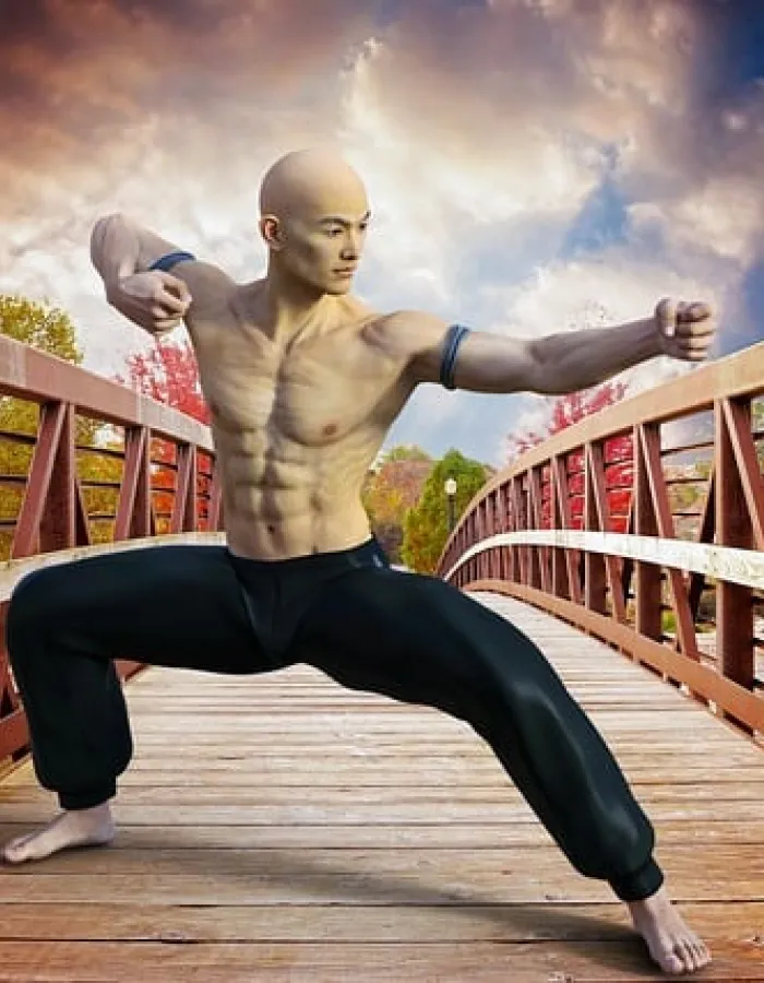 histoire du kung fu