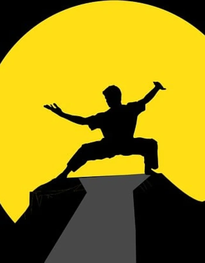 Wing Chun ou kung fu