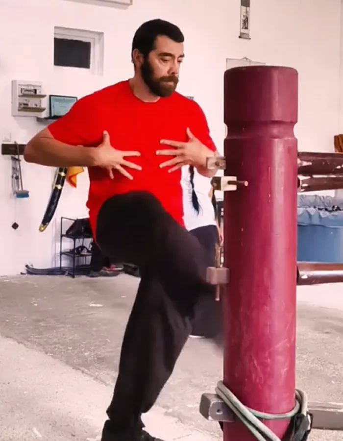 mannequin de bois wing chun pas cher