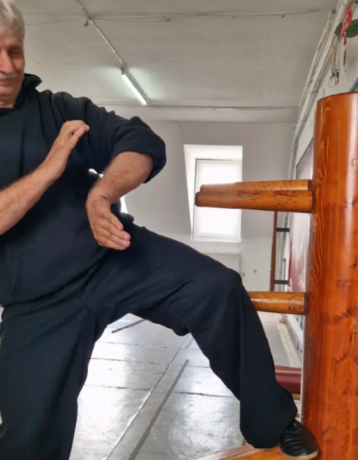 mannequin de bois wing chun pas cher