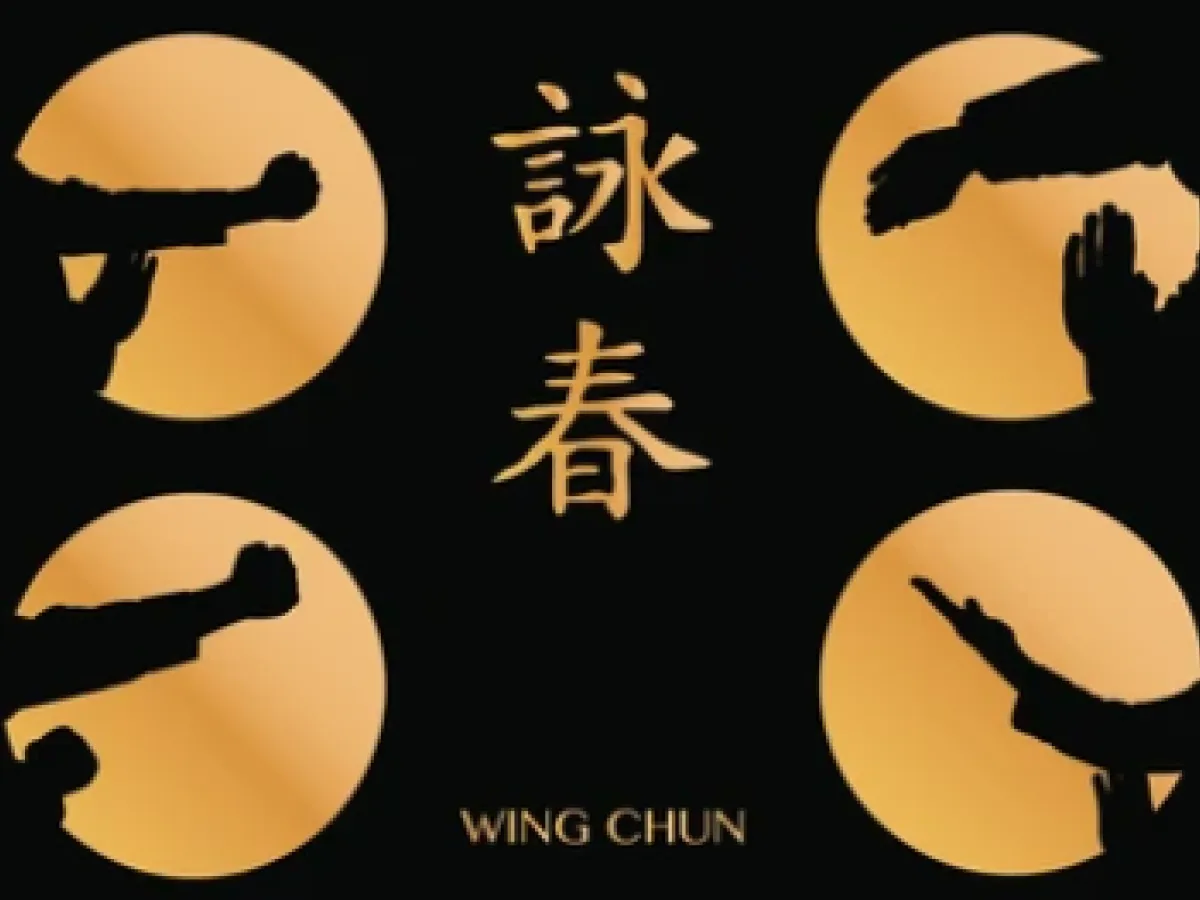wing chun kung fu