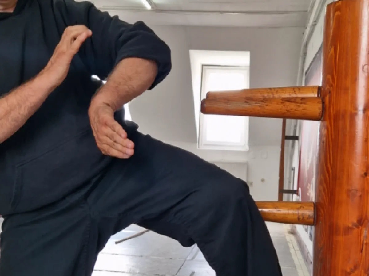 mannequin de bois wing chun pas cher