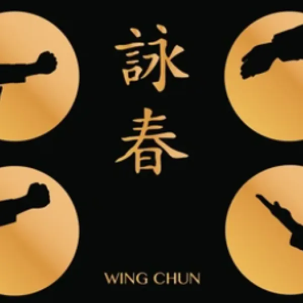 wing chun kung fu