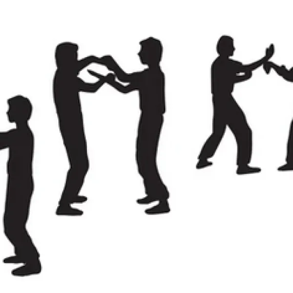 wing chun kung fu