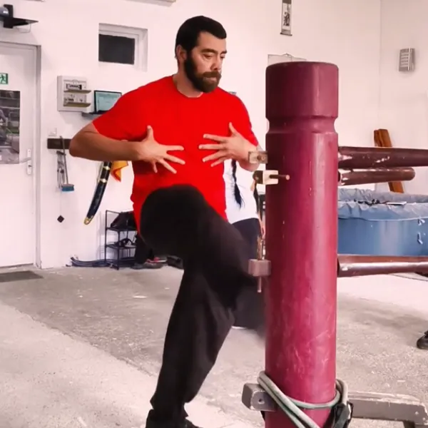 mannequin de bois wing chun pas cher