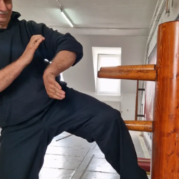 mannequin de bois wing chun pas cher